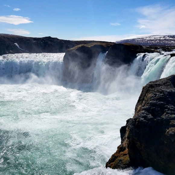 Meet your Posher, April - Picture 1 of 1